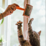 Cleaning & Maintenance