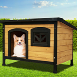 Dog Supplies