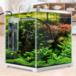 Aquarium Cleaning Supplies