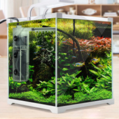 Aquarium Cleaning Supplies